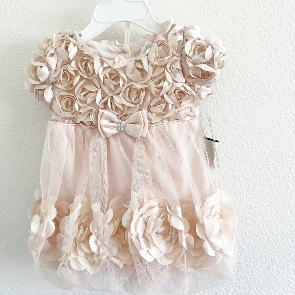 Formal Champagne Rose Dress with Matching Bottoms